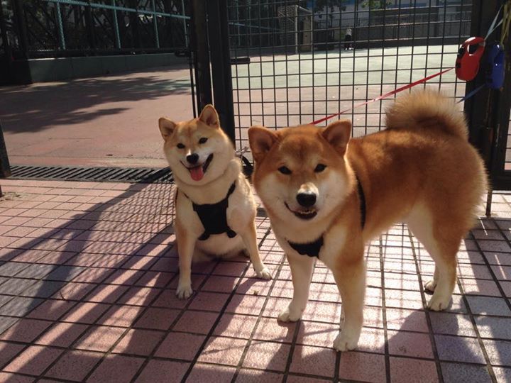 西甲国家德比之夜,迪马利亚的微光,足以点亮历史星辰