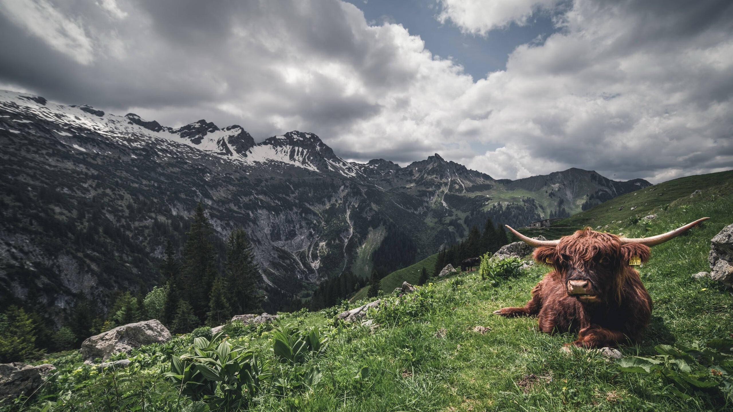 控球如诗，破局如刀，加维的东决式接管与法国节奏的尼日利亚困局
